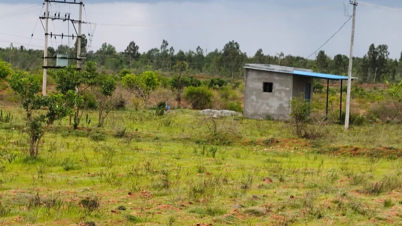 (SOLD - PK121) 6 acre 30 gunta AGRICULTURE LAND | udupa 9901323456