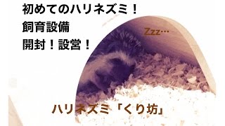 【開封動画‼︎】初めてのハリネズミ飼育‼︎飼育環境設営