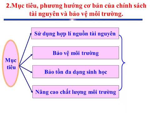 K11-GDCD- Bài 12- Chính sách tài nguyên và bảo vệ môi trường-Cô Nhung