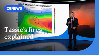 How Could A Cold, Wet Spring Lead To Bushfires? Abc News