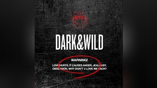 BTS - Danger [INSTRUMENTAL] 