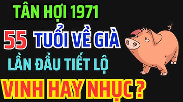 Tuổi Tân Hợi 1971 từ 55 tuổi về già: Giàu có hay Cơ cực, Bí mật hậu vận ai bỏ qua là mất phúc !