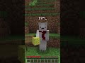 bud dum tss #minecraft #minecraftshorts #shorts