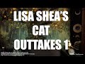 Cat outtakes 1  lisa shea origamis