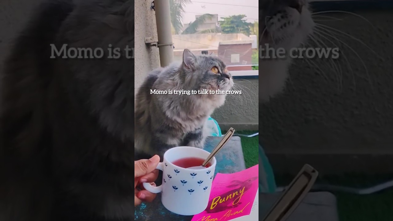 Morning reading routine 📚 