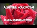 Христианские стихи.  А жизнь как роза.