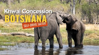 Wasserdurchfahrten und Elefanten in der Nacht | Khwai Concession Area Botswana | Mbudi Camp