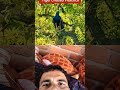 Nitesh Kumar official 0 tiger attack