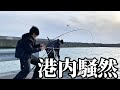 【北海道】【釣り】必見！釣りならキラーが大爆発‼️開発秘話も！港内激震！！重量級連発‼️