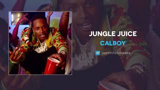 Calboy - Jungle Juice (AUDIO)
