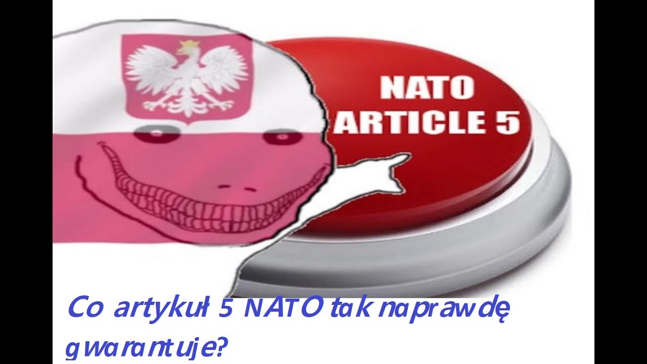 Пятой статьей нато. Польша НАТО Мем. Polish Wojak NATO article. NATO article 5. Польша артикль 5.