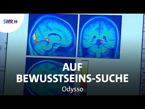 Wo Ist Das Ich Die Suche Nach Dem Menschlichen Bewusstsein | Swr Wissen