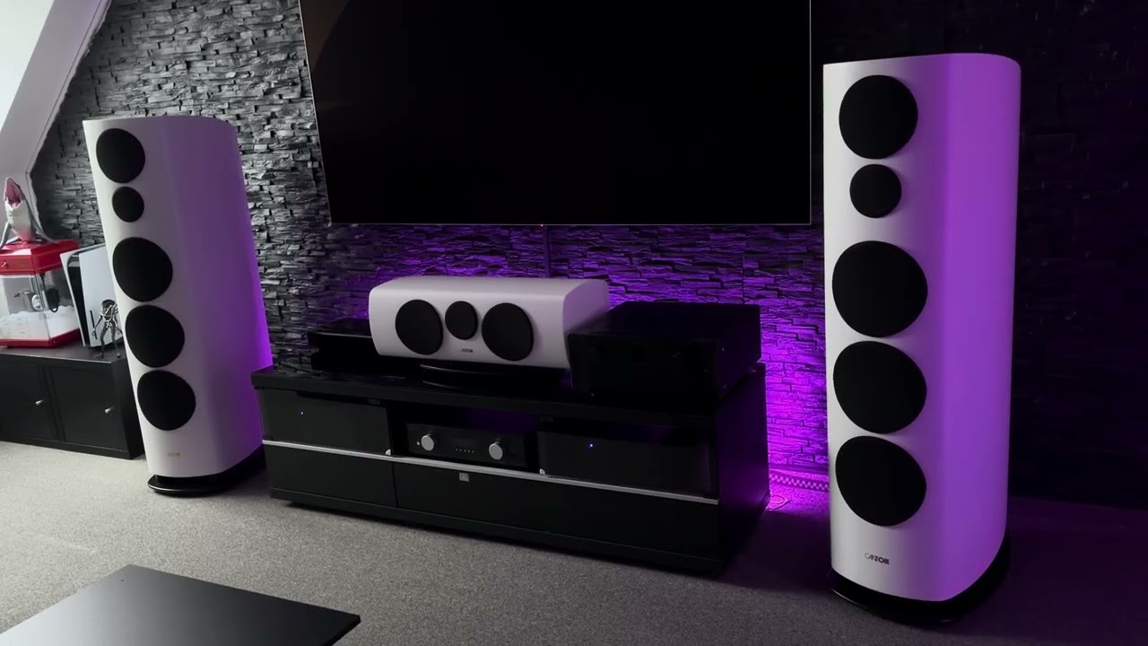 Canton Reference 1 // AVM // Stereo 