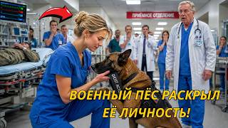 военный пёс принёс знак прошлого — и вся больница узнала, кем была медсестра