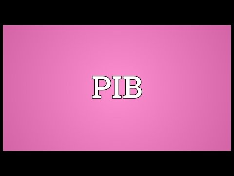 PIB Meaning