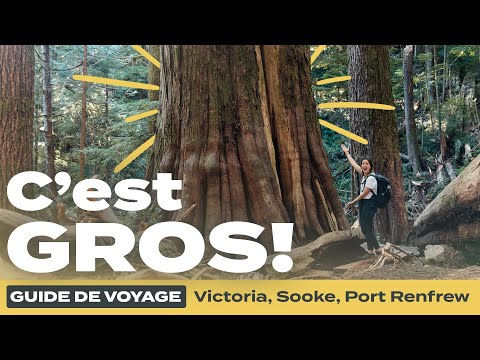 Vidéo: Les 10 excursions d'une journée au départ de Vancouver