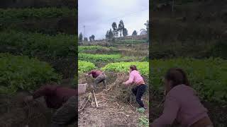 Bir Hayalet Tarafından Vuruldum. Tamamen Şaşırdım. Hiç Beklemezdim. Her Gördüğümde Güleceğim.