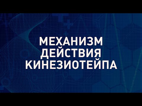 Как работает кинезиотейп | Механизм действия кинезио тейпа