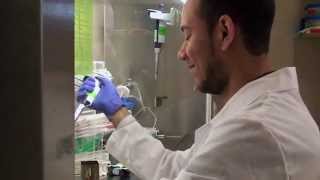 Treating DOCK8 Deficiency at NIAID
