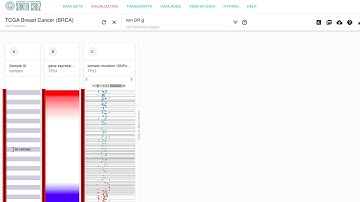 Filter/Subgroup walkthrough