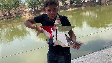 Câu cá tra Những pha ben cần cực phê