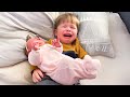 Funny kid meets newborn for the first time  cute babys