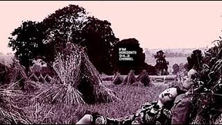 The Hollies  Reunion Of The Heart s Fm Horizonte 943 Channel