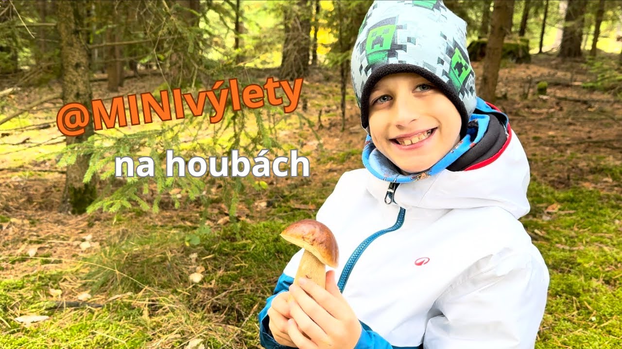 Milujeme HOUBY! Naše 1. video z lesa @MINIvýlety #houby #grzyby #pilze #mushroom #fungi #nature