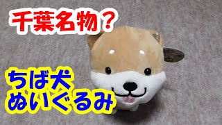 千葉名物 ちば犬ぬいぐるみを買ってみた Youtube
