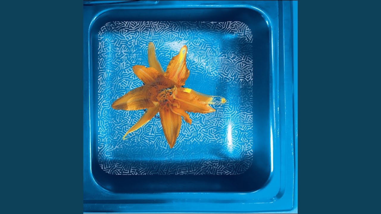 Watch Universal Truce on YouTube Watch Universal Truce on YouTube