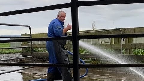 Dads Back, fixing calves broken fences, reuniting the escapees, and enjoy the rain ish.