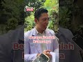 Perhatikan Ini Sebelum Beri Bayi Susu Kurma