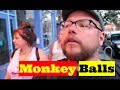 Feisty Tribe Member, Scary Lions, Carnival Rides and Monkey Balls!