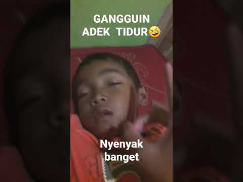 Gangguin Adek Tidur🤣Nyenyak Banget Dah?