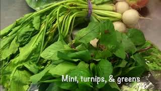 Fresh Food Farmacy