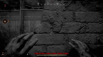 HUNT: SHOWDOWN GUY ACCUSED ME OF CHEATING