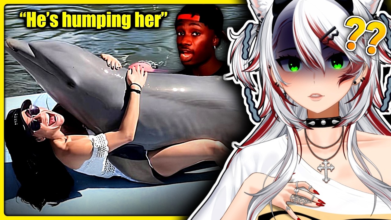 THIS RUINNED DOLPHINS FOR ME!! | The Truly Disturbing Reality of Dolphins | Casual Geographic React