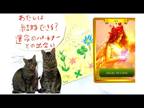 わたしは 結婚 できる 運命のパートナーとの出会い タロット恋愛 結婚出来るか 占い オラクルカードリーディング タロット結婚 運命の人 保護猫 との日々 Youtube