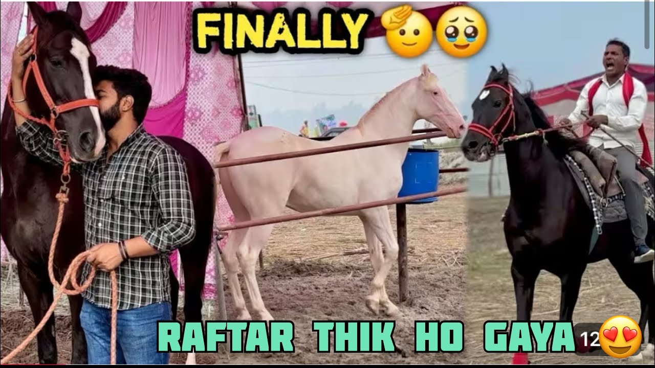 PEHELWAN FARMS Day2 🌹/Garh Ganga mela 2025 😘 Raftar कि पैर आब ठीक हो गया फाइनली 😍