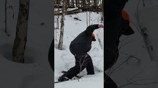 Four More Buckets of Liquid Gold #maplesyrup #homestead