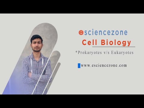 Prokaryotic vs Eukaryotic: The Differences | Cells Biology | Class 11