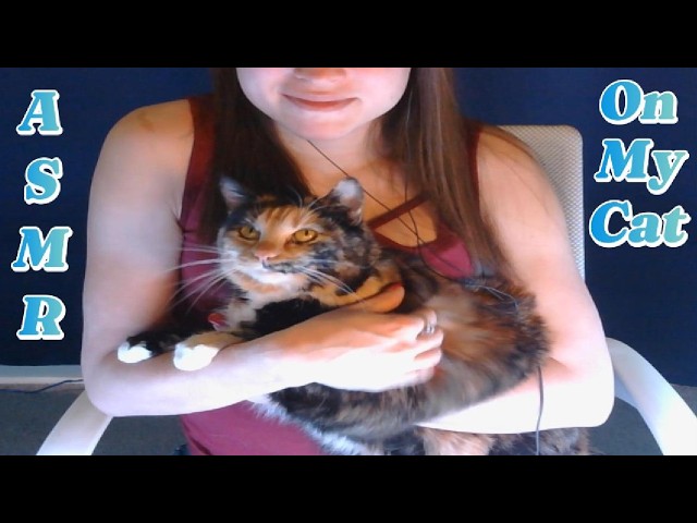 ASMR On My Cat