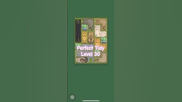 Perfect Tidy level 30 #perfecttidy #tidyingup #tidyup #cleaning #games #gameplay