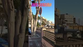 A Virtual Run in Las Palmas de Gran Canaria 🇮🇨