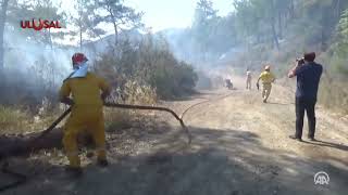 Muğla'daki orman yangını söndürüldü Resimi