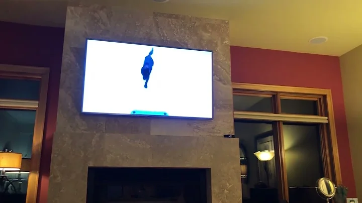 Cash watching TV