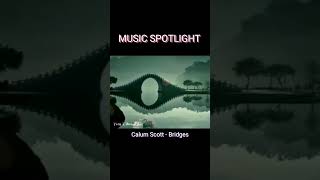 MUSIC SPOTLIGHT: Calum Scott - Bridges #calumscott #bridges #newmusic #trending #depression #sadness