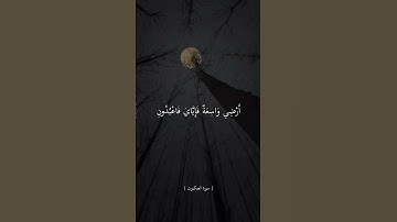 كُلُّ نَفْسٍ ذَائِقَةُ الْمَوْتِ ۗ || القارئ عبدالرحمن مسعد 🍀🎧
