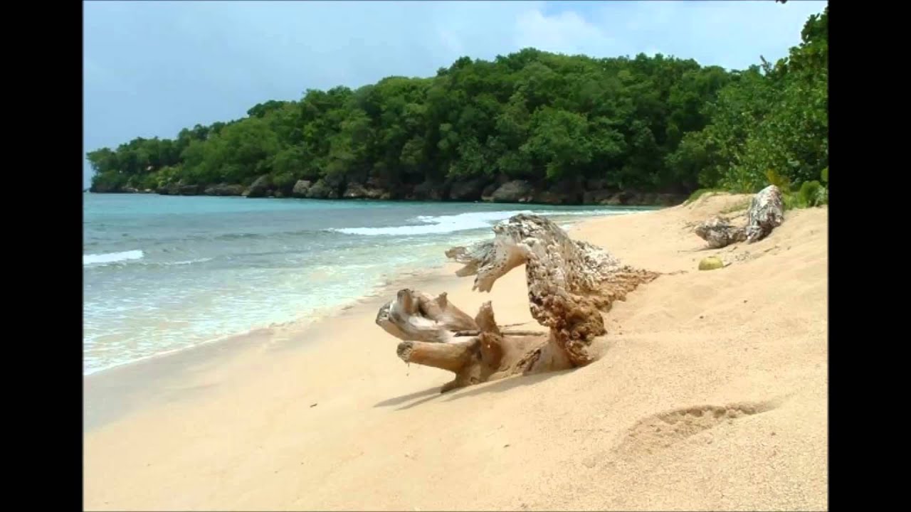 Feelings Of Love Riddim,Included Jamaican Pictures(made by Da-Haille)