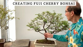 Creating Fuji Cherry Bonsai